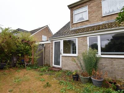 Picture 16